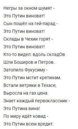 Негры за окном шумят Это Путин виноват Сын пошёл на гей парад Это Путин виноват Склады в Чехии горят Это Путин виноват Кто то видел вдоль складОв Шли Боширов и Петров Затопило Фукусиму Это Путин мстит кретинам Встали ветряки в Техасе Выросла на газ цена Знает каждый первоклассник Это Путина вина По миру идёт ковид Это Путин всем вредит