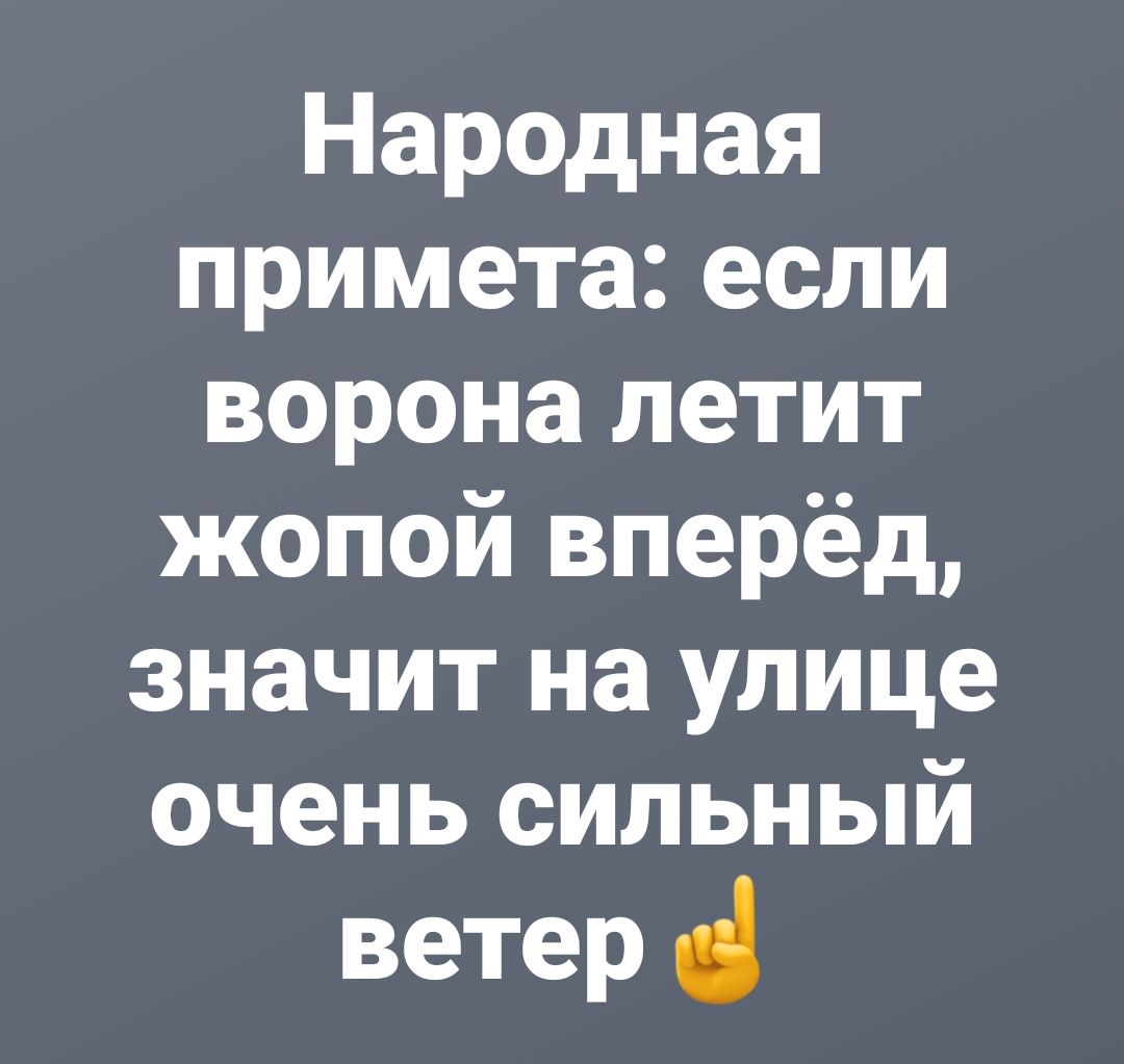 Народная примета если ворона летит жопой вперёд значит на улице очень сильный ветер