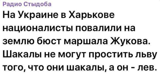 Радио Стыдоба На Украине в Харькове националисты повалили на землю бюст маршала Жукова Шакалы не могут простить льву того что они шакалы а он лев