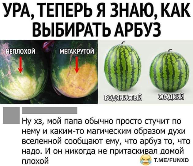 УРА ТЕПЕРЬ Я ЗНАЮ КАК ВЫБИРАТЬ АРБУЗ ЦНЕПЛОХОЙ МЕГАКРУТОЙ у уа да ё Ё Й НУ хз мой папа обычно просто стучит по нему и каким то магическим образом духи вселенной сообщают ему что арбуз то что надо И он никогда не притаскивал домой плохой 2 тМЕРИМХО