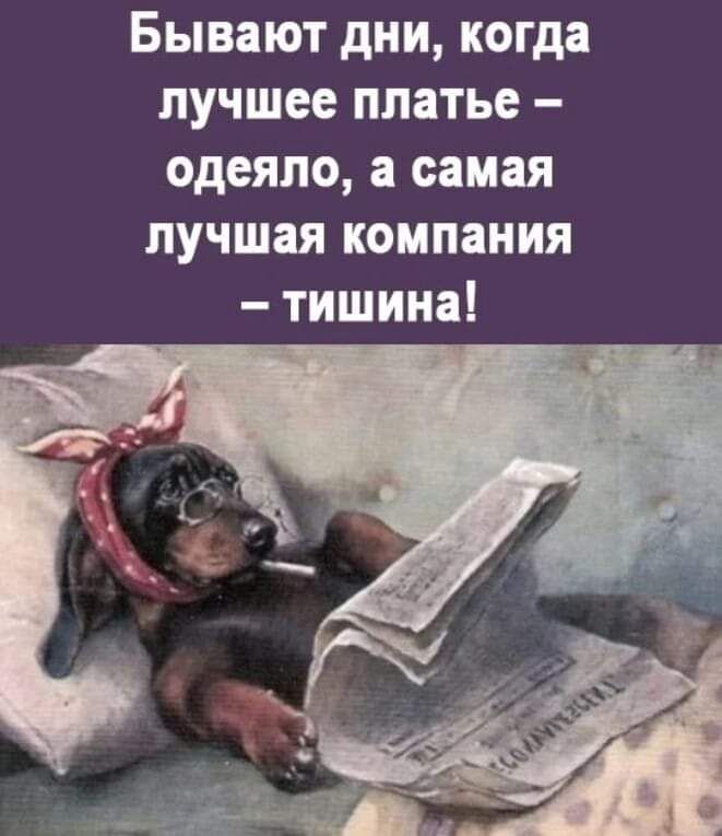 Бывают дни когда лучшее платье одеяло а самая лучшая компания тишина