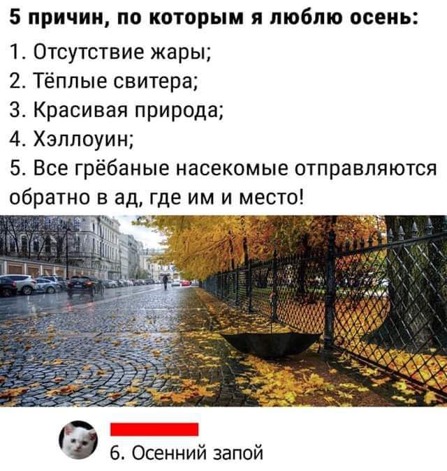 5 причин по которым я люблю осень 1 Отсутствие жары 2 Тёплые свитера З Красивая природа 4 Хэллоуин 5 Все грёбаные насекомые отправляются обратно в ад где им и место ч Ч 6 Осенний запой