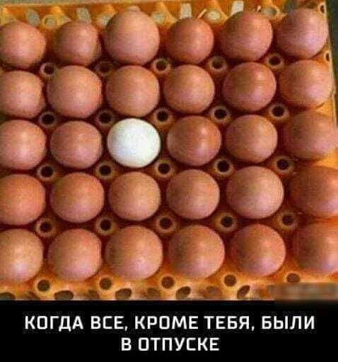 э э э Г В За_ ь эЭ Орр А ВСЕ КРОМЕ ТЕБЯ БЫЛИ В ОТПУСКЕ іООО __33__ _бідді