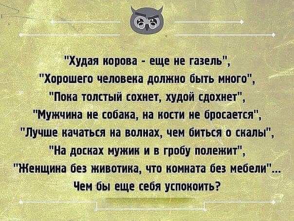 Худая корова еще не газель Хорошего человека должно быть много Пока толстый сохнет худой сдохнет Мужчина не собака на кости не бросается Лучше качаться на волнах чем биться о скалы На досках мужик и в гробу полежит Женщина без животика что комната без мебели Чем бы еще себя успокоить тП