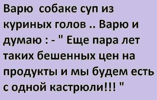 Варю собаке суп из куриных голов Варю и думаю Еще пара лет таких бешенных цен на продукты и мы будем есть с одной кастрюли