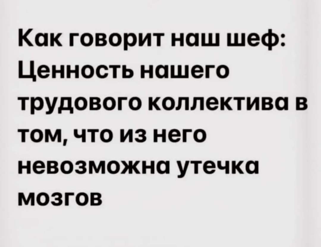 Как говорит наш шеф Ценность нашего трудового коллектива в том что из него невозможна утечка мозгов