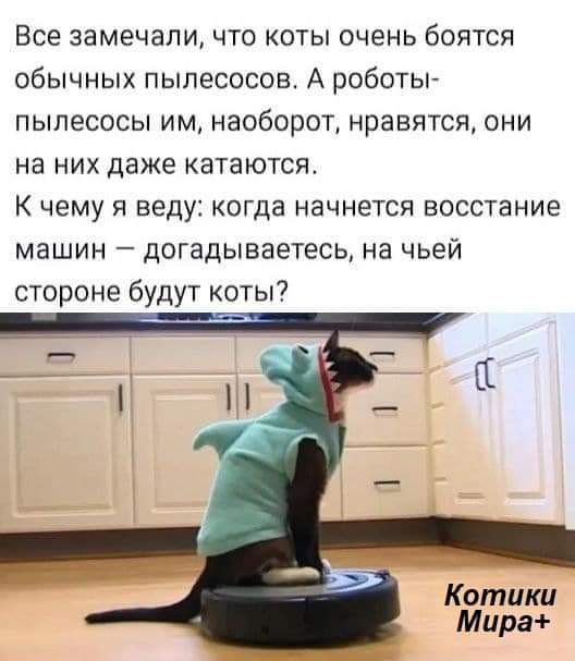 Все замечали что коты очень боятся обычных пылесосов А роботы пылесосы им наоборот нравятся они на них даже катаются К чему я веду когда начнется восстание машин догадываетесь на чьей стороне будут коты