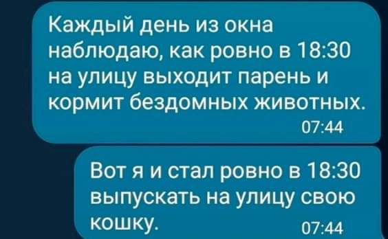 Каждый день из окна наблюдаю как ровно в 1830 на улицу выходит парень и кормит бездомных животных 0744 Вот я и стал ровно в 1830 выпускать на улицу свою кошку 0744