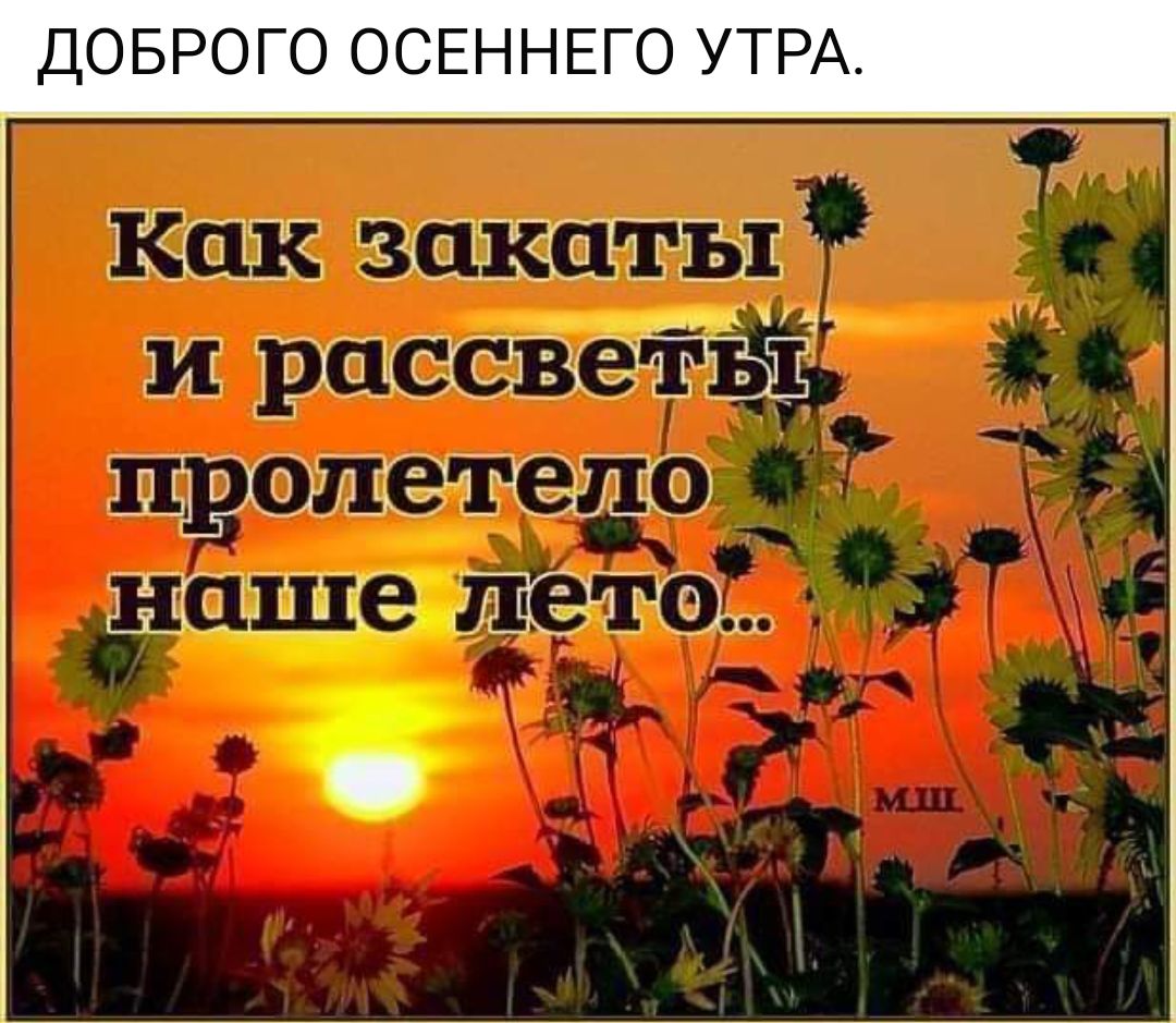 ДОБРОГО ОСЕННЕГО УТРА