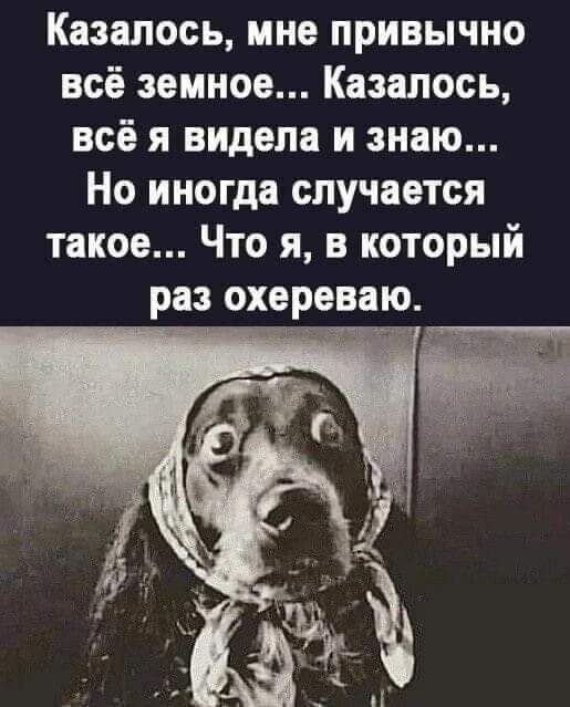 Казалось мне привычно всё земное Казалось всё я видела и знаю Но иногда случается такое Что я в который раз охереваю