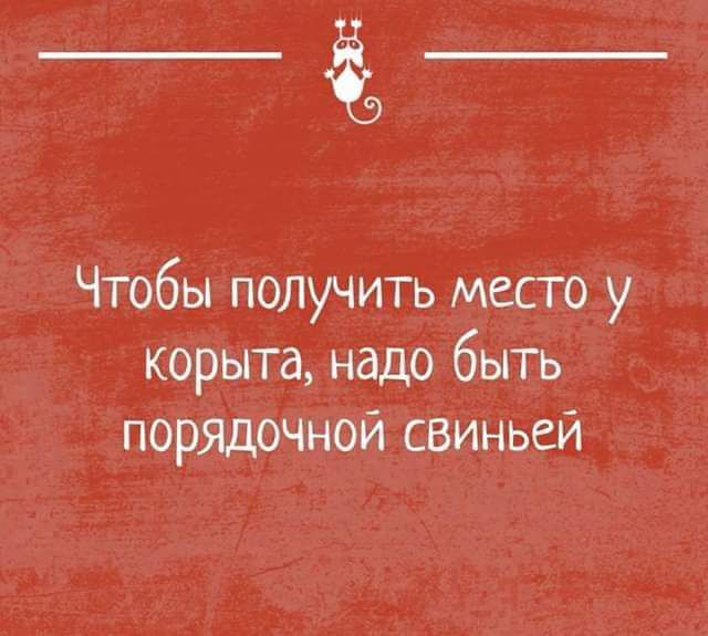 ___ Чтобы получить место у корыта надо быть порядочной свиньей