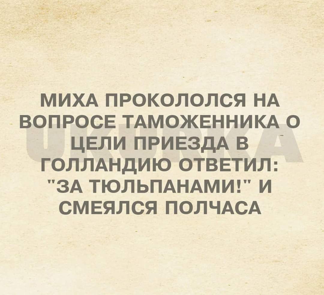 МИХА ПРОКОЛОЛСЯ НА ВОПРОСЕ ТАМОЖЕННИКА О ЦЕЛИ ПРИЕЗДА В ГОЛЛАНДИЮ ОТВЕТИЛ ЗА ТЮЛЬПАНАМИ И СМЕЯЛСЯ ПОЛЧАСА