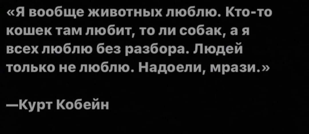 Я вообще животных люблю Кто то кошек там любит то ли собак ая всех люблю без разбора Людей только не люблю Надоели мрази Курт Кобейн