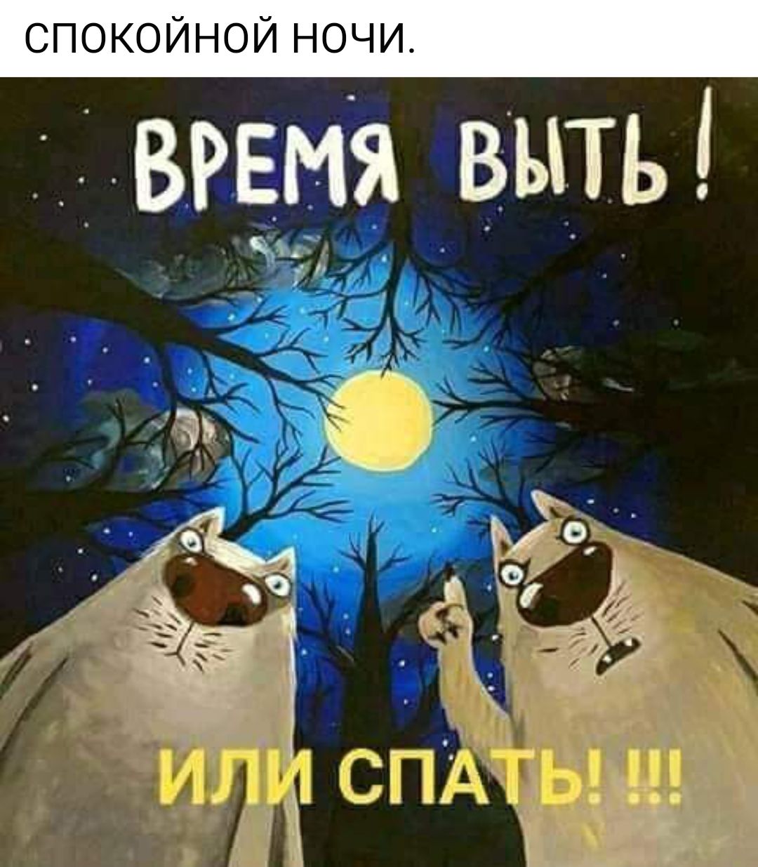 ВРЕМЯ ВЫТЬ