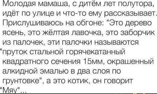 Молодая мамаша с дитём лет полутора идёт по улице и что то ему рассказывает Прислушиваюсь на обгоне Это дерево ясень это жёлтая лавочка это заборчик из палочек эти палочки называются пруток стальной горячекатанный квадратного сечения 15мм окрашенный алкидной эмалью в два слоя по грунтовке а это котик он говорит Мяу