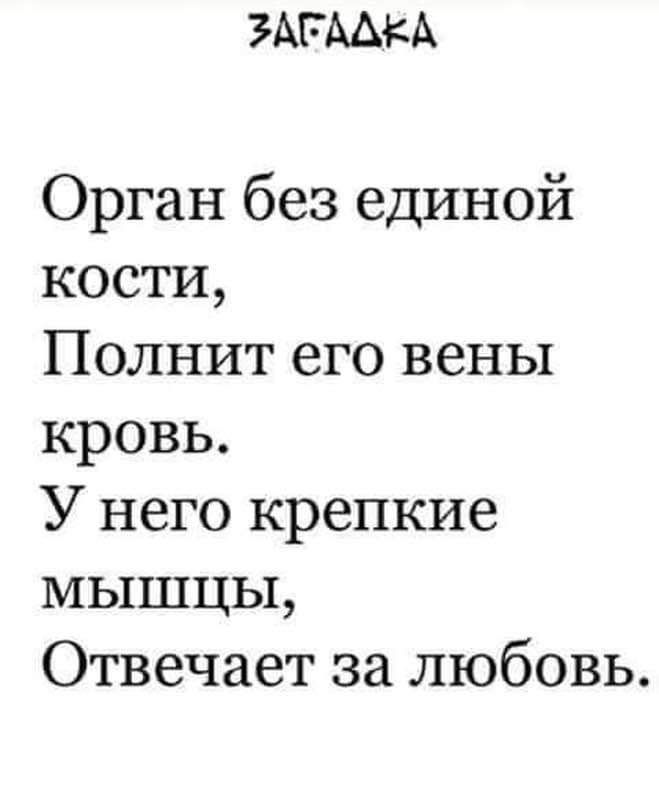 ЗАСАДКА Орган без единой кости Полнит его вены кровь У него крепкие мышцы Отвечает за любовь