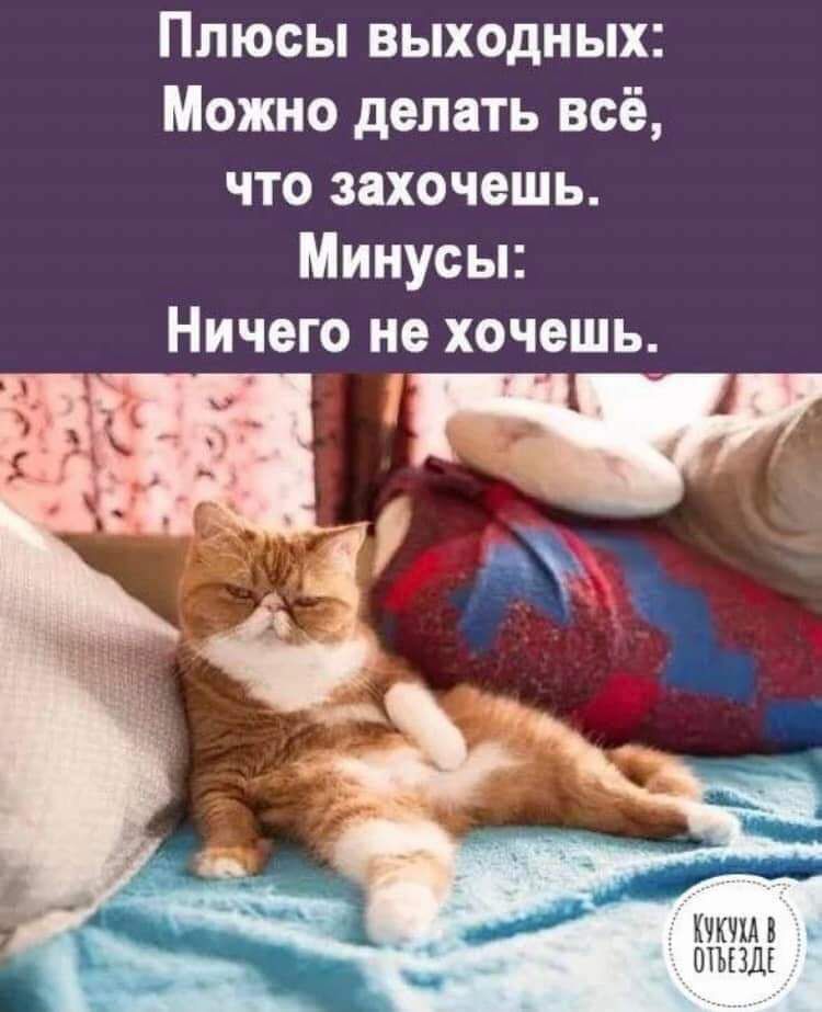 Плюсы выходных Можно делать всё что захочешь Минусы Ничего не хочешь