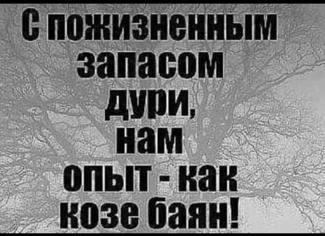 С пожизненным запасом ДУРИ нам опЫ как козе баян