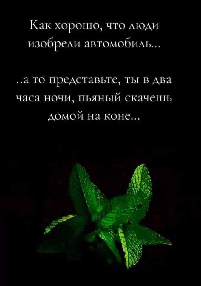 Как хорошо что люди изобрели автомобиль а то представьте ты в два часа ночи пьяный скачешь домой на коне