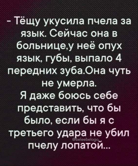 Тёщу укусила пчела за язык Сейчас она в больницеу неё опух язык губы выпало 4 передних зубаОна чуть не умерла Я даже боюсь себе представить что бы было если бы я с третьего удара не убил пчелу лопатой