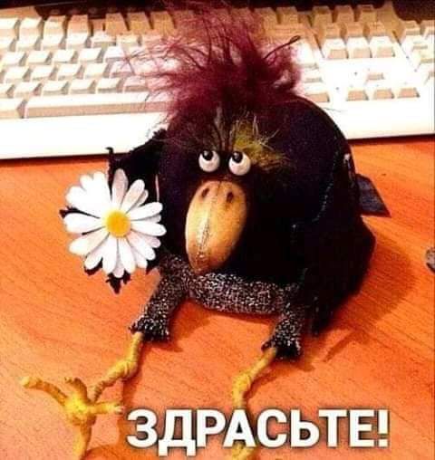 ЗДРАСЬТЕ