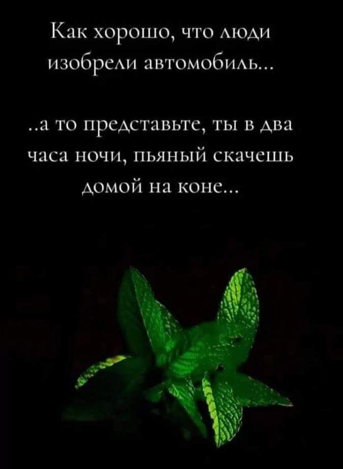 Как хорошо что люди изобрели автомобиль а то представьте ты в два часа ночи пьяный скачешь домой на коне