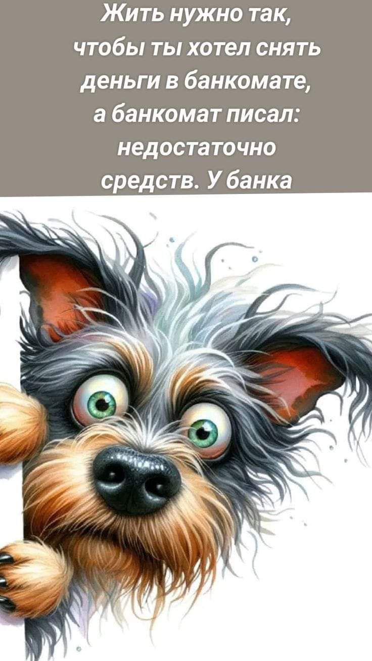 Жить нужно так чтобы ты хотел снять деньги в банкомате а банкомат писал недостаточно средств У банка