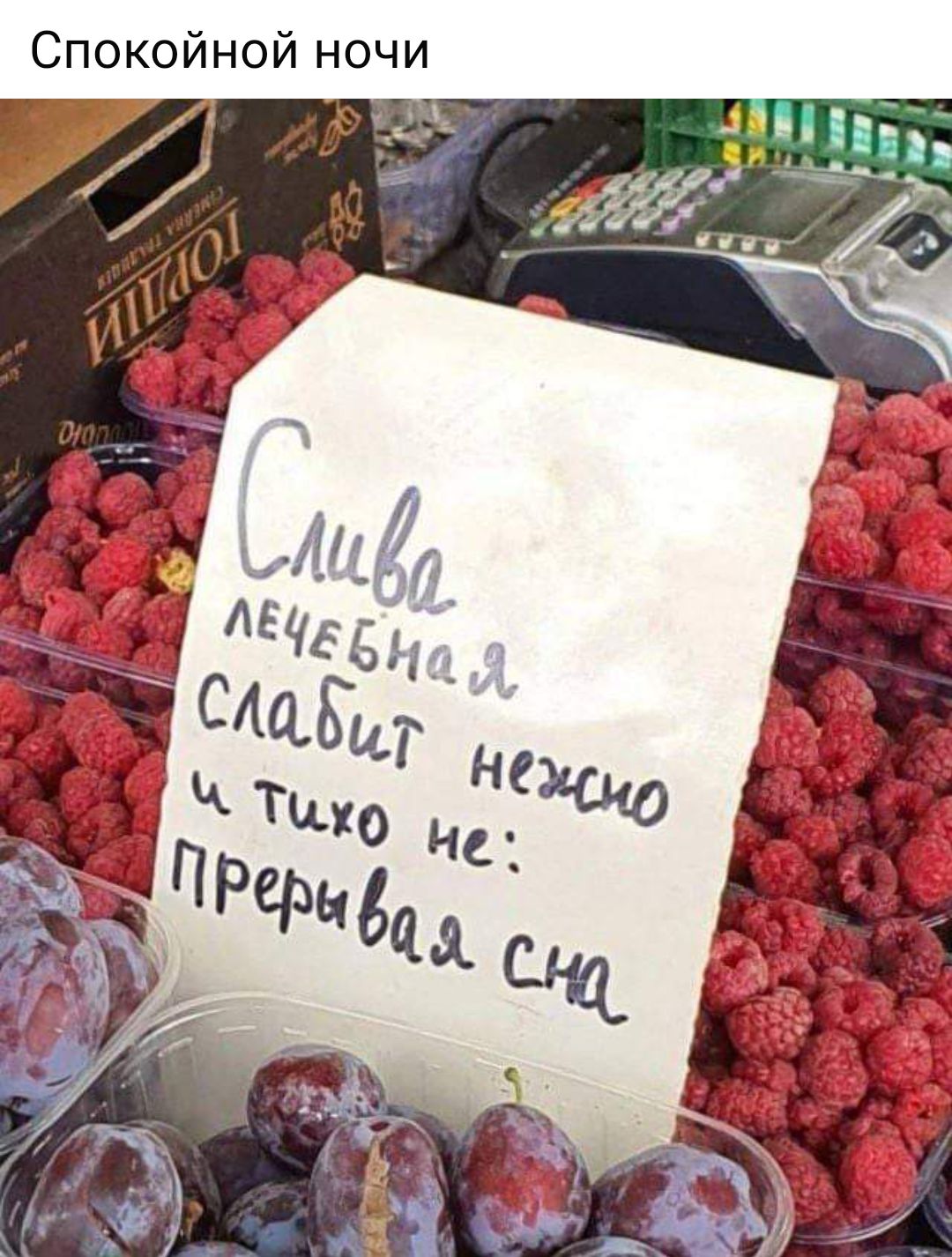 Спокойной ночи