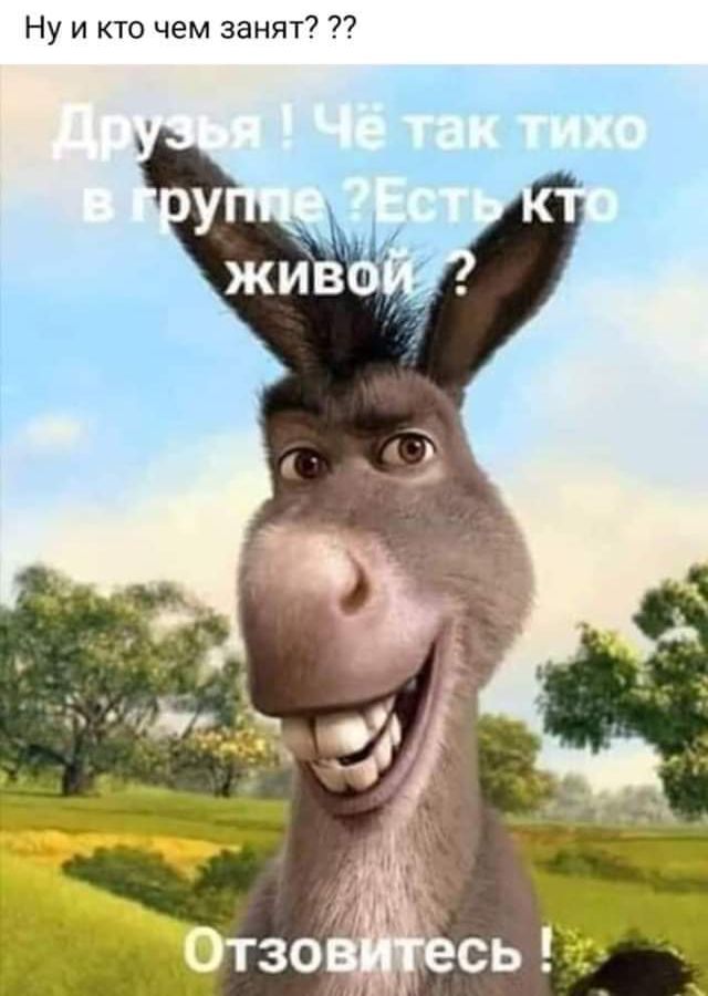 Ну икто чем занят 2