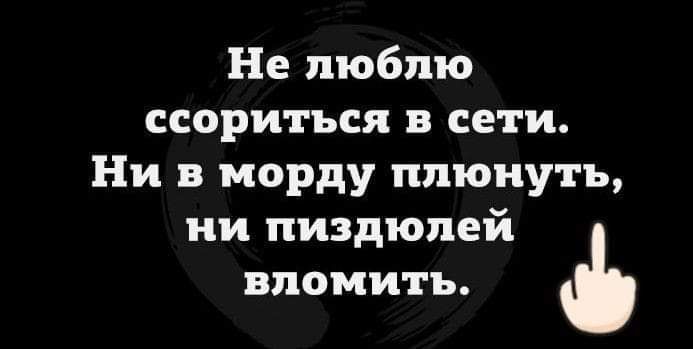 Не люблю ссориться в сети Ни в морду плюнуть ни пиздюлей вломить