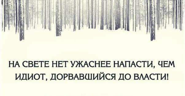 М ПУНО К НА СВЕГЕ НЕТ УЖАСНЕЕ НАПАСТИ ЧЕМ ИДИОТ ДОРВАВШИЙСЯ ДО ВЛАСТИ