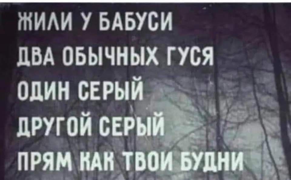 ЖИЛИ У БАБУСИ ДВА ОБЫЧНЫХ ГУСЯ ОДИН СЕРЫЙ дд с ДРУГОЙ СЕР