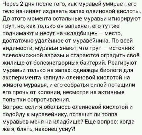 Через 2 дня после того как муравей умирает его тело начинает издавать запах олеиновой кислоты До этого момента остальные муравьи игнорируют труп но как только он запахнет его тут же поднимают и несут на кладбище место достаточно удалённое от муравейника По всей видимости муравьи знают что труп источник всевозможной заразы и стараются оградить своё 