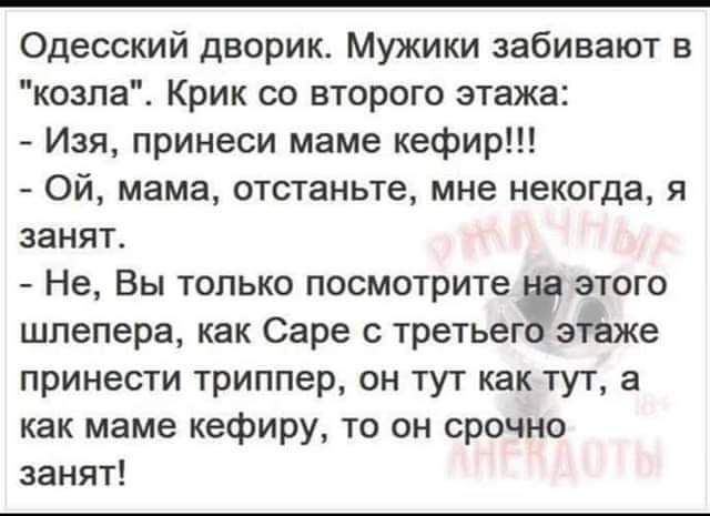 Одесский дворик Мужики забивают в козла Крик со второго этажа Изя принеси маме кефир ОЙ мама отстаньте мне некогда я занят Не Вы только посмотрите на этого шлепера как Саре с третьегэже принести триппер он тут кактут а как маме кефиру то он срочно занят