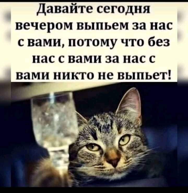 Давайте сегодня вечером выпьем за нас свами потому что без нас с вами за нас с вами никто не выпьет