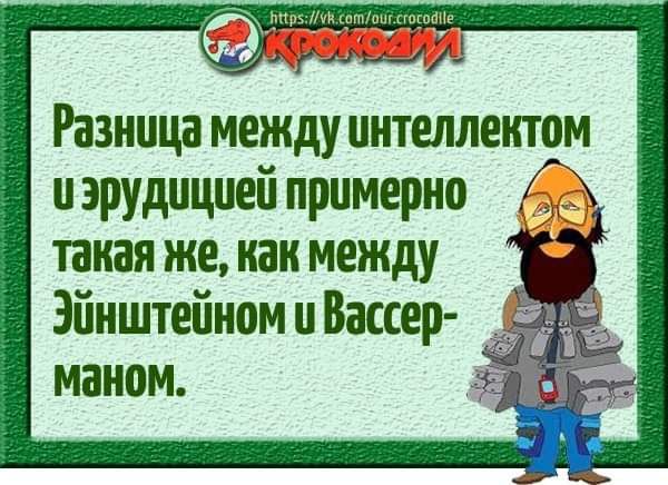 Разница между интеллектом иэрудицией прумерно такая же как между Эбнштейном у Вассер маном