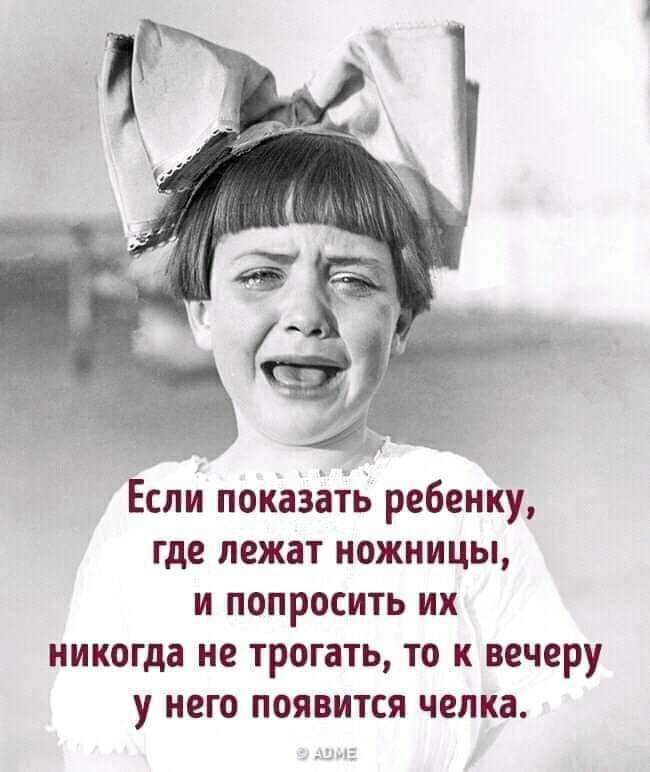 9 в ч Если показать ребенку где лежат ножницы и попросить их никогда не трогать то к вечеру у него появится челка