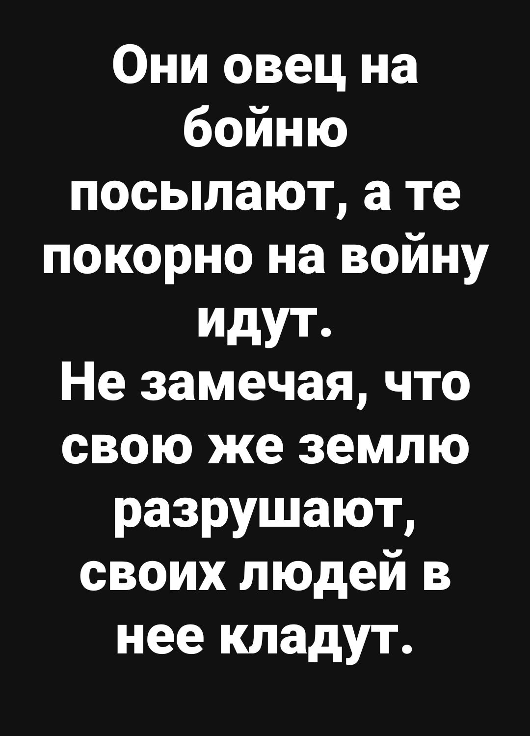 Они овец на бойню посылают а те покорно на войну идут Не замечая что свою же землю разрушают своих людей в нее кладут