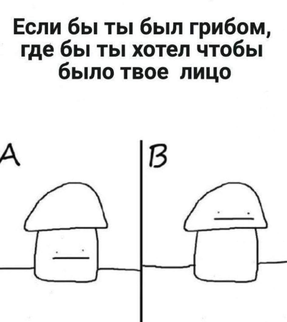 Если бы ты был грибом где бы ты хотел чтобы было твое лицо