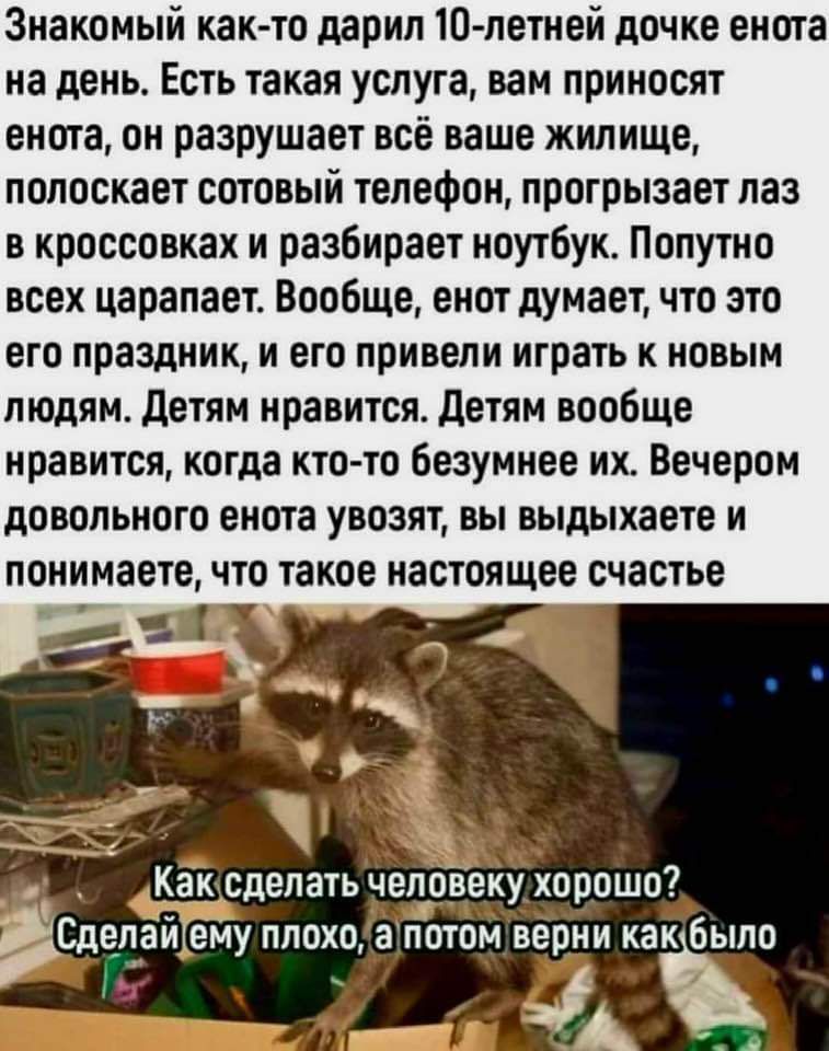 Знакомый как то дарил 10 летней дочке енота на день Есть такая услуга вам приносят енота он разрушает всё ваше жилище полоскает сотовый телефон прогрызает лаз в кроссовках и разбирает ноутбук Попутно всех царапает Вообще енот думает что это его праздник и его привели играть к новым людям Детям нравится Детям вообще нравится когда кто то безумнее их