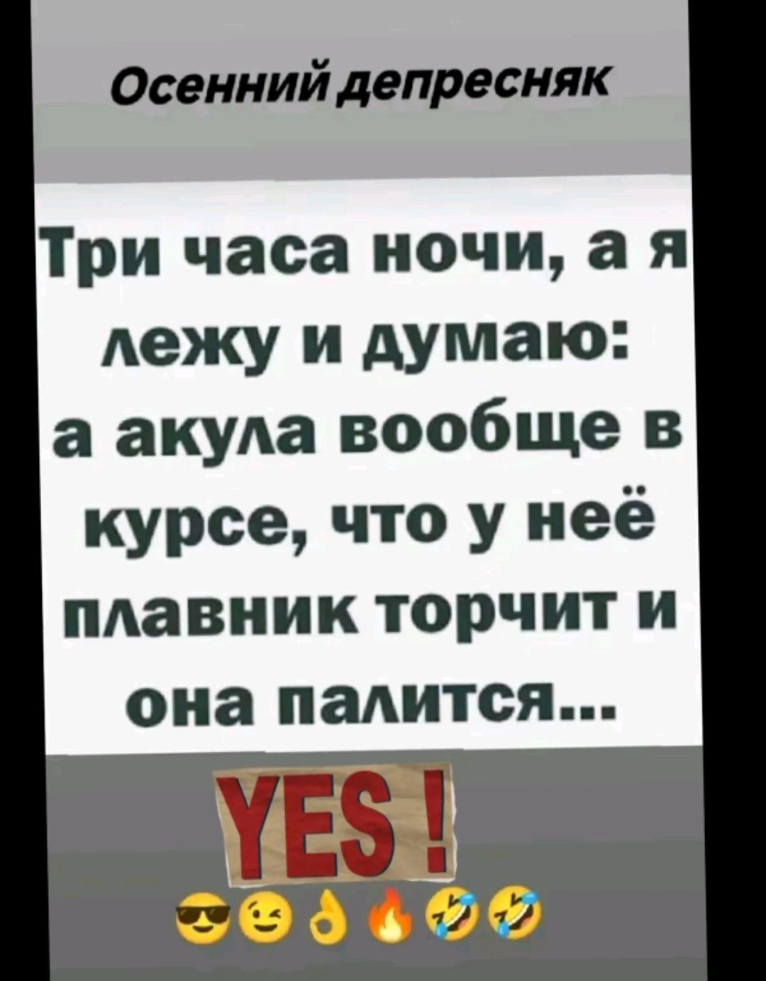 Осенний депресняк Три часа ночи а я лежу и думаю а акула вообще в курсе что у неё плавник торчит и она палится