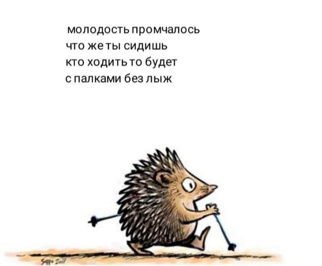 молодость промчалось что жеты сидишь кто ходитьто будет спалками без лыж