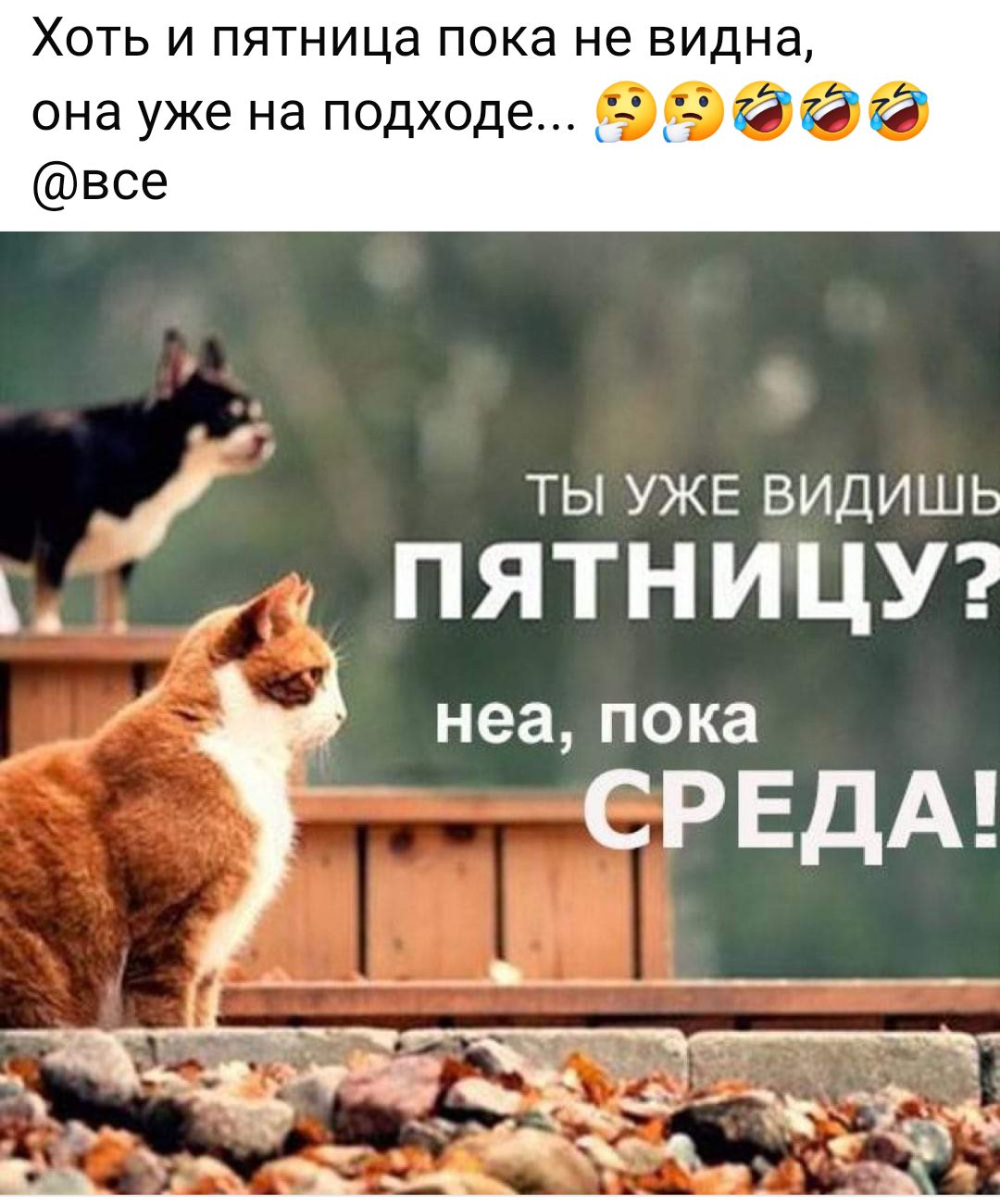 Хоть и пятница пока не видна она уже на подходе Э все ТЫ УЖЕ ВИДИШЬ й ПЯТНИЦУ й неа пока СРЕДА