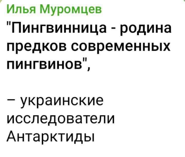 Илья Муромцев Пингвинница родина предков современных пингвинов украинские исследователи Антарктиды