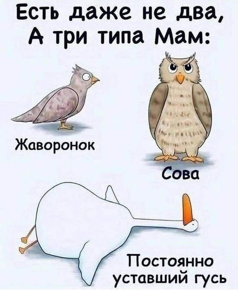 Есть даже не два Постоянно уставший гусь