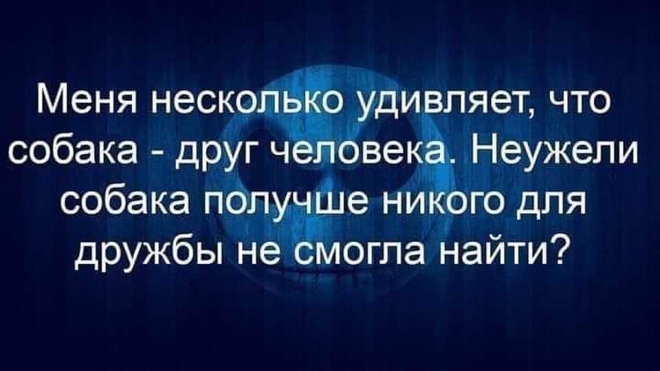 Меня неско яет что собака друг Ч Неужепи собака пбп ше никого для дружбы не смогла наити7