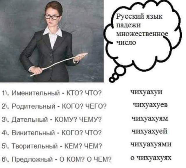 1 Именительный КТО ЧТО 2 Родительный КОГО ЧЕГО 3З Дательный КОМУ ЧЕМУ 4 Винительный КОГО ЧТО 5 Творительный КЕМ ЧЕМ 6 Предложный О КОМ О ЧЕМ Русский язык падежи множественно число чихуахуи чихуахуев чихуахуям чихуахуей чихуахуями о чихуахуях