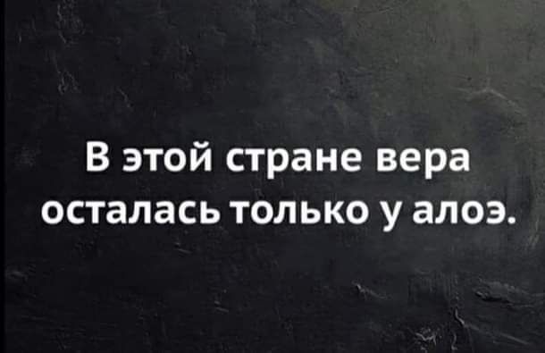 В этой стране вера осталась только у алоэ