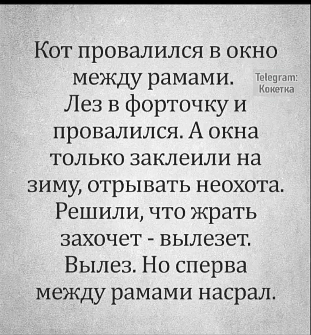 Кот провалился в окно между рамами иа Лез в форточку и провалился А окна только заклеили на зиму отрывать неохота Решили что жрать захочет вылезет Вылез Но сперва между рамами насрал