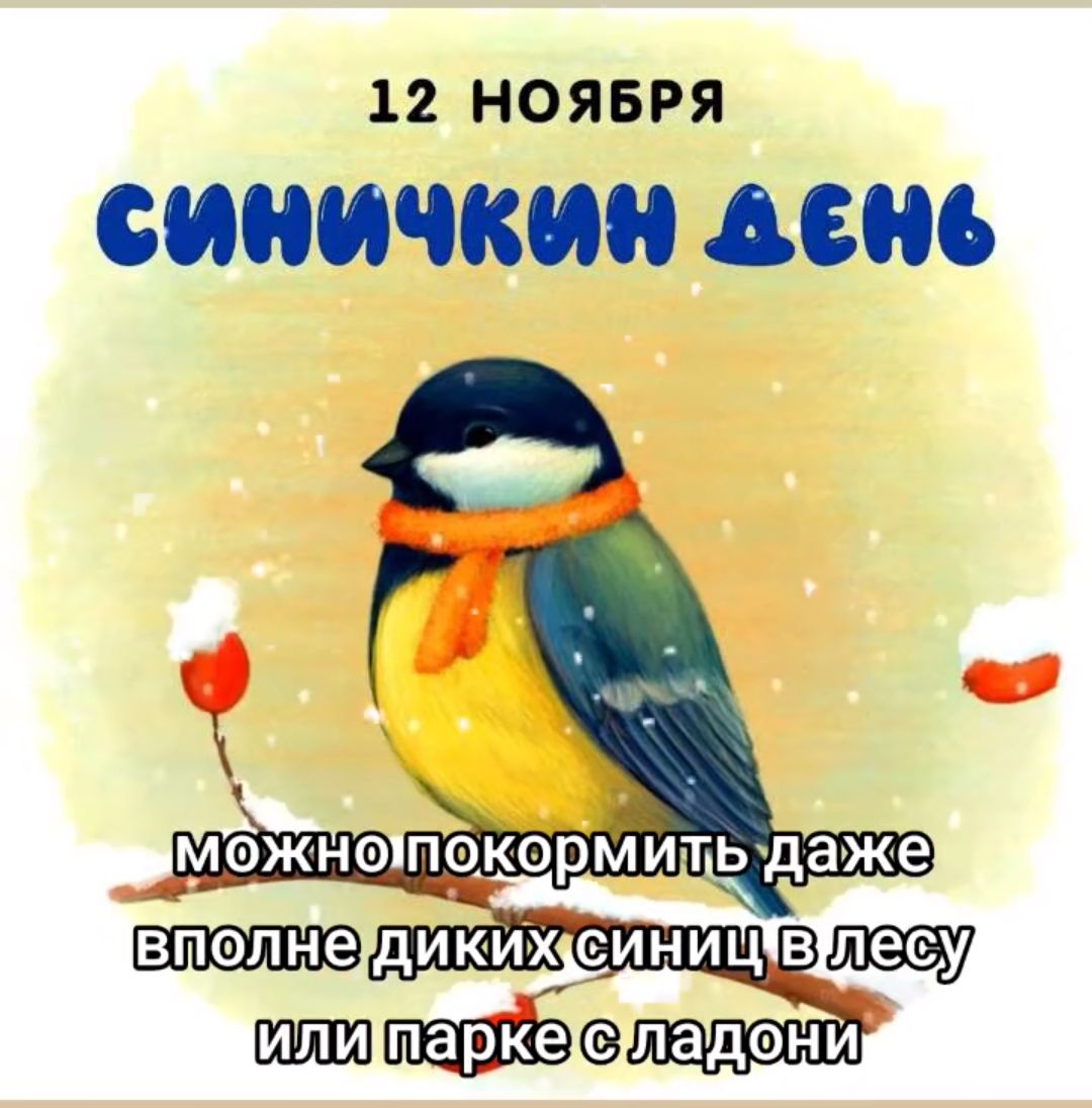 12 НОЯБРЯ СИНИЧКИН АЕНЬ